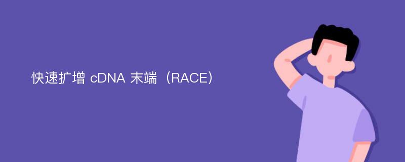 快速扩增 cDNA 末端（RACE）