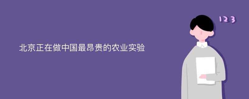 北京正在做中国最昂贵的农业实验