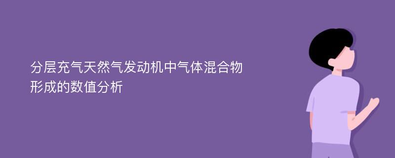 分层充气天然气发动机中气体混合物形成的数值分析