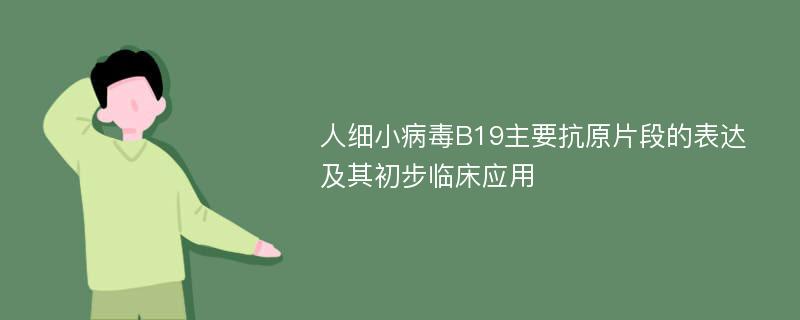 人细小病毒B19主要抗原片段的表达及其初步临床应用