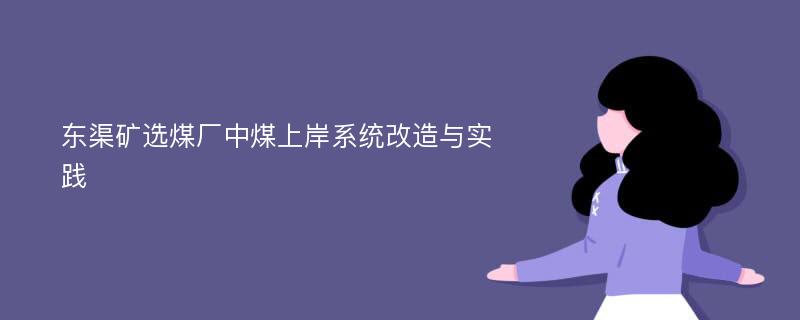 东渠矿选煤厂中煤上岸系统改造与实践