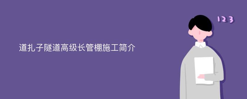 道扎子隧道高级长管棚施工简介