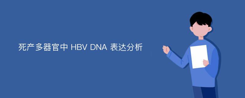 死产多器官中 HBV DNA 表达分析