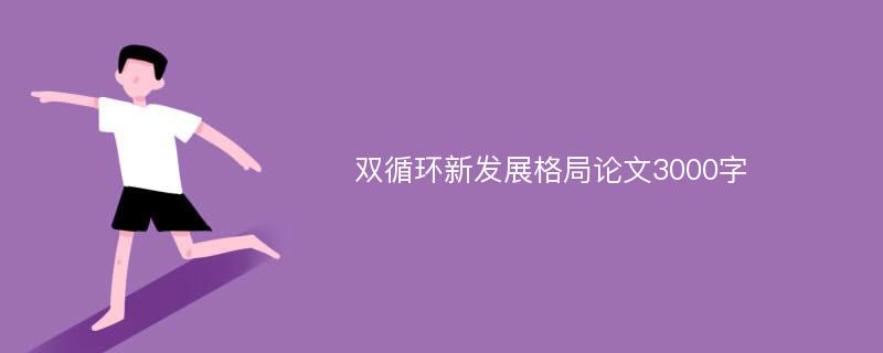 双循环新发展格局论文3000字