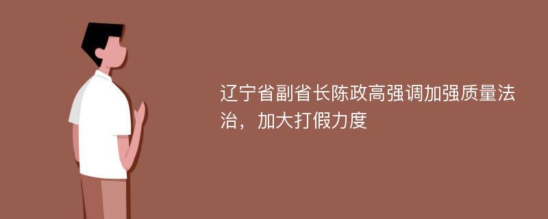 辽宁省副省长陈政高强调加强质量法治，加大打假力度